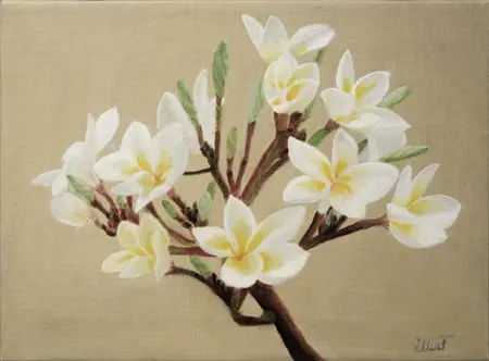 Ulla Falk
Olie på lærred