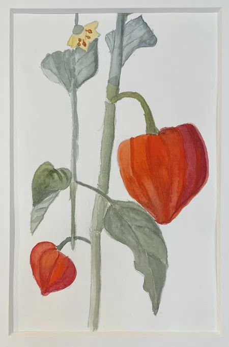 Britt Julinssen
Akvarel